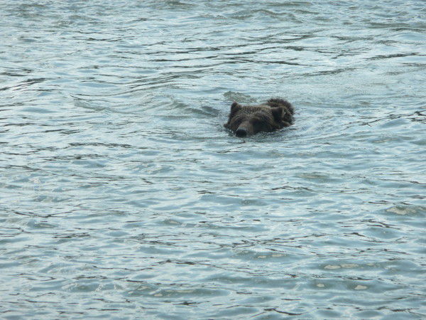 Алексей Лесин