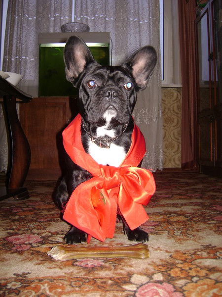 Алексей Мамонтов