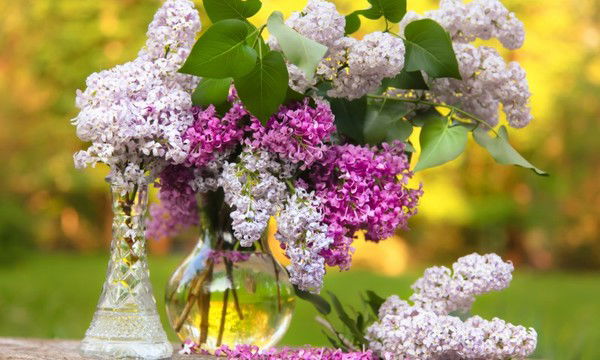 Светлана Слаутина