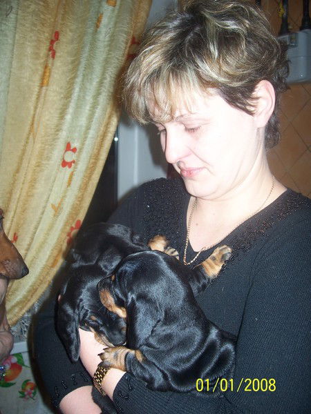 Елена Кульбит