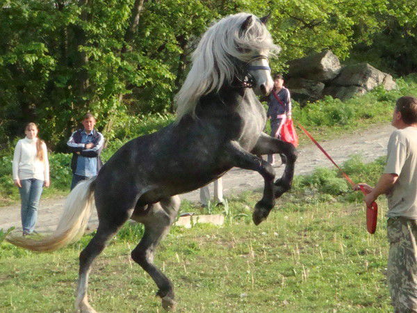 Анна Петухова