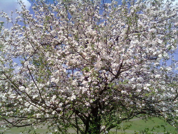 Наталья Рубцова