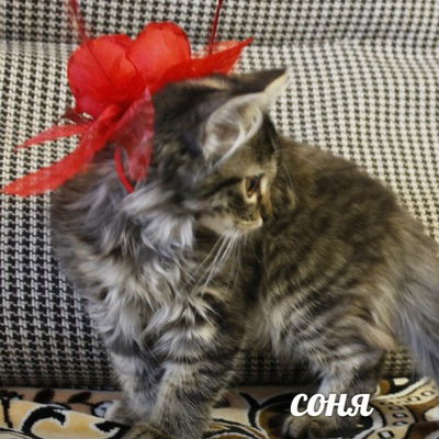 Эльвина Галимьянова