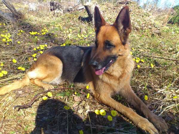 Татьяна Ильина