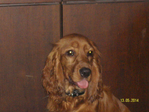 Пётр Петров