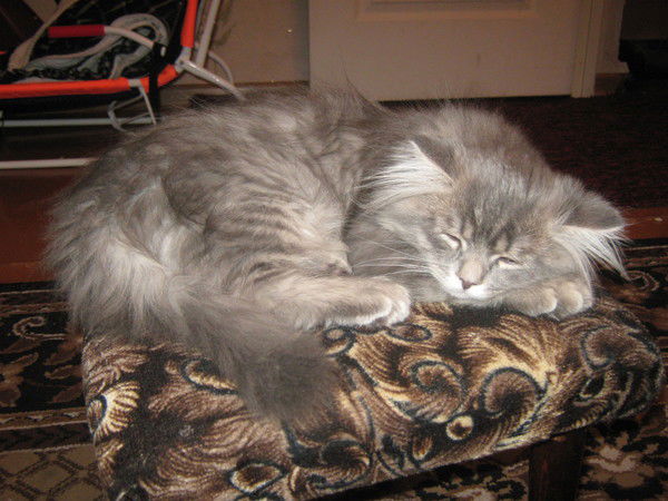 Людмила Букина