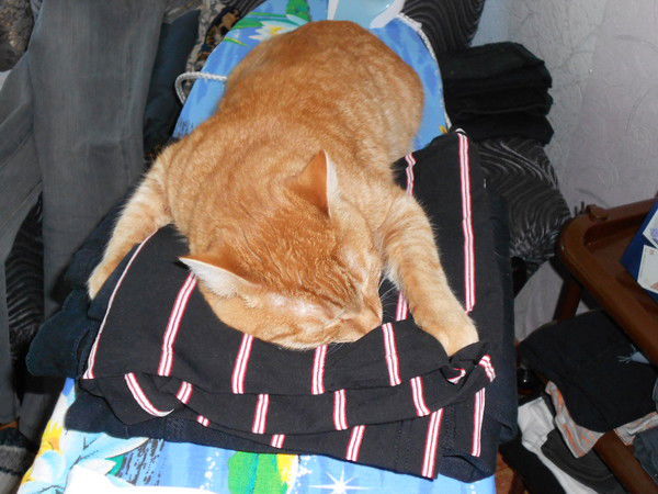 Любовь Мухортикова