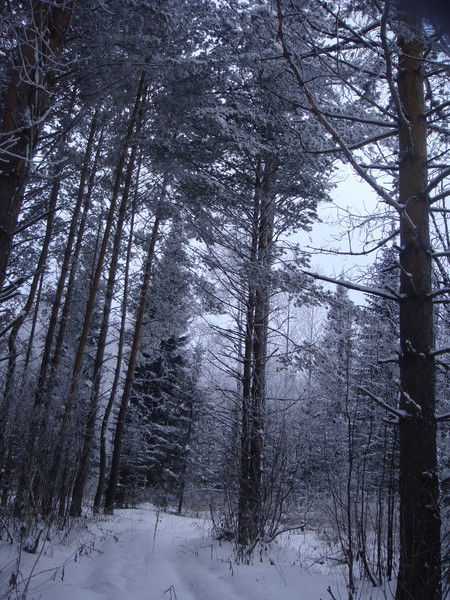 Александр Дорошенко