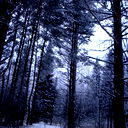 Александр Дорошенко