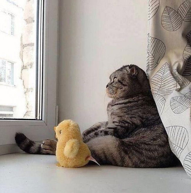 Елизавета Кузинович