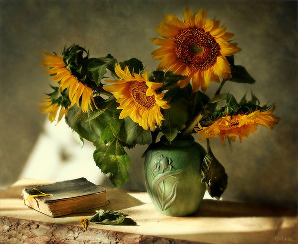 Максим Омельченко