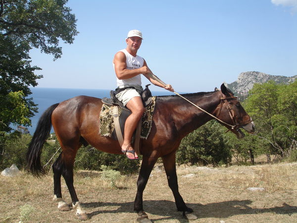 Александр Холодный