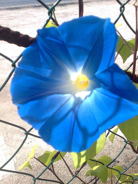 Виктория Мартысюк