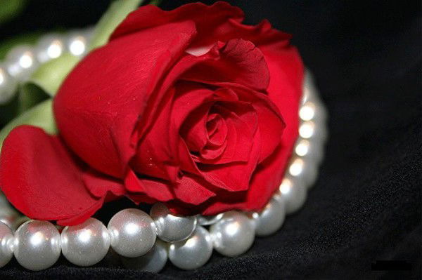 Раушан Казкенкызы