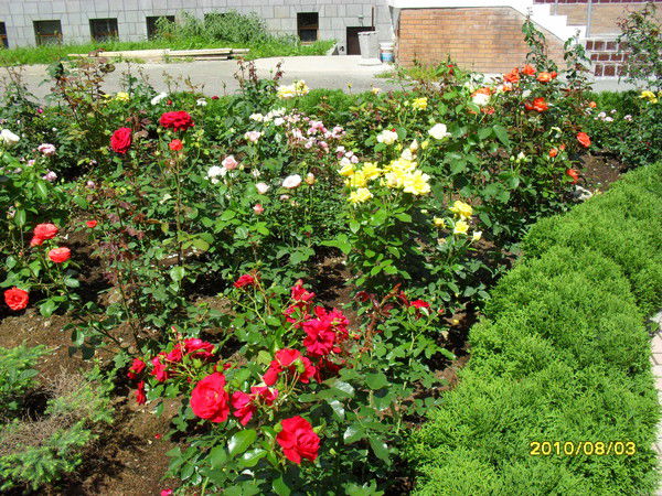 Юлия Уварова