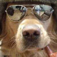 Егор Гончаров