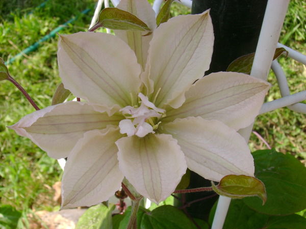 Татьяна Татьяна