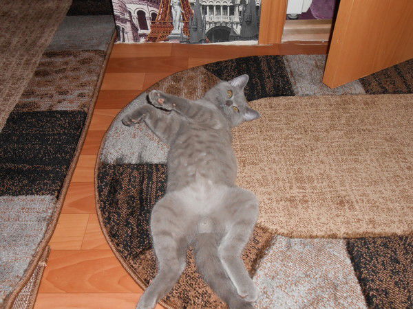 Любовь Войтенко