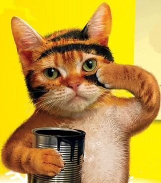 Александр Сухих