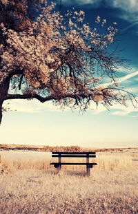 Михаил Коновалов