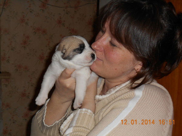 Юлия Ветлюк