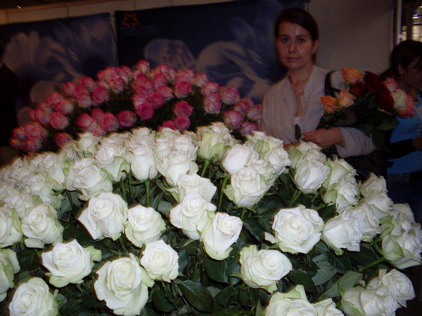 Вера Абрамова