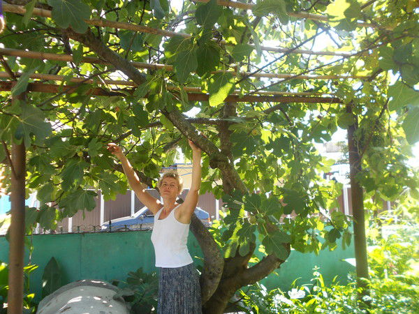 Лариса Воронина