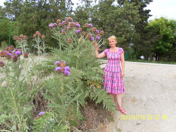 Ольга Токарева