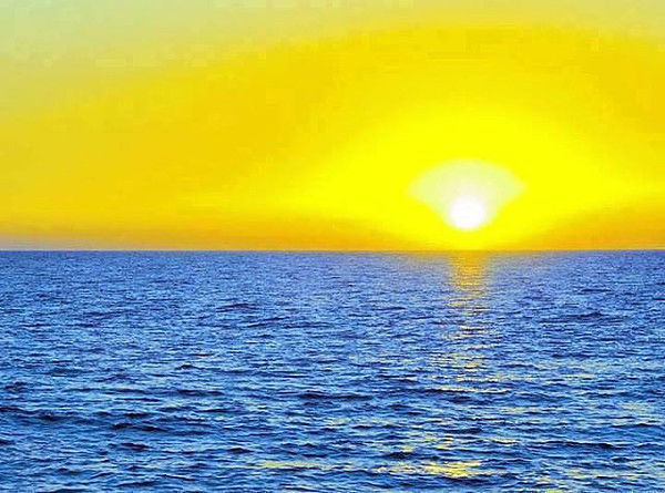 Светлана Кухарук