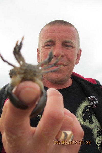 Александр Лазарев