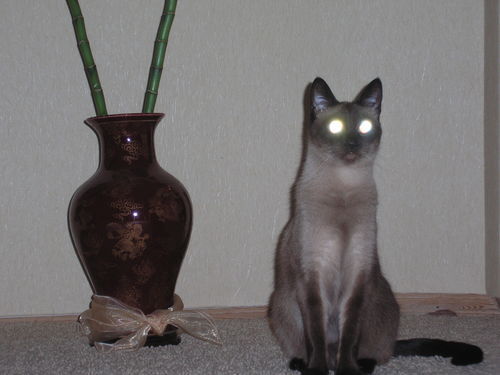 Юрий Рудаков