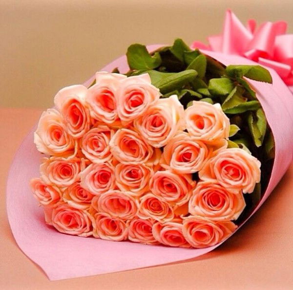 Анар Анафина