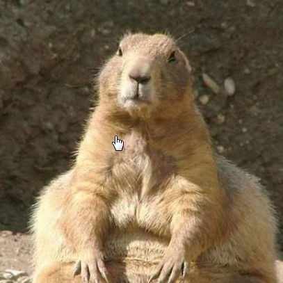 Вася Ветров