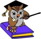 Отдел Развития Мсо