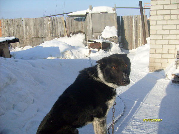 Марат Гайсин