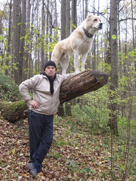 Алексей Мельников