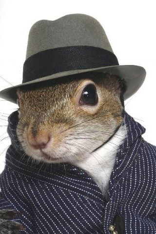 Елена Зуева