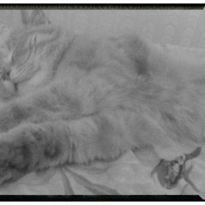 Саша Пенчуков