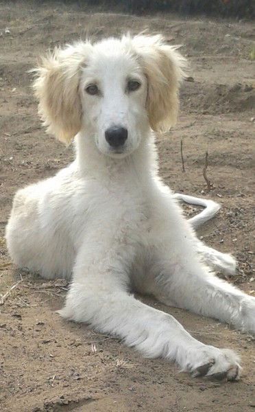 Ернар Нурбаев