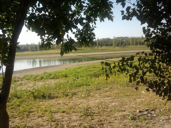 Натали Каменева