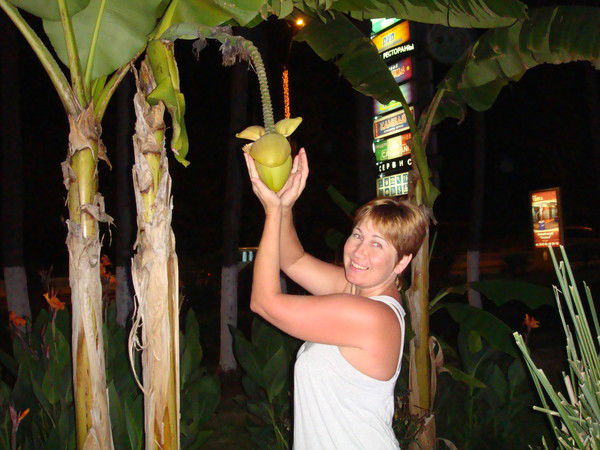 Лана Бирюкова