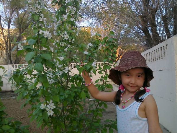 Алия Аймагамбетова