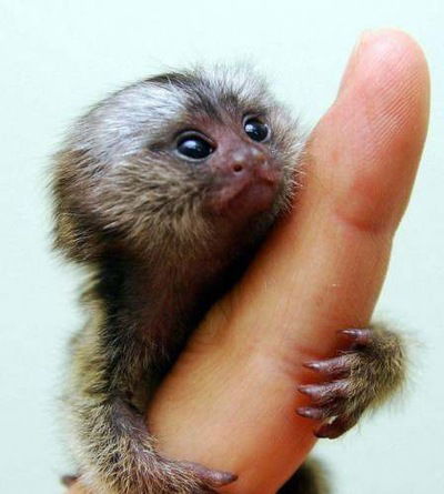 Мария Кутузова