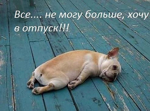 Екатерина Тимофеева