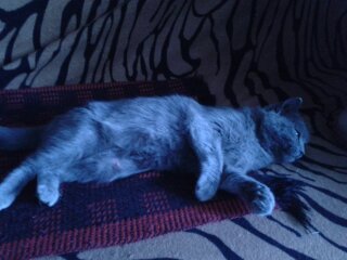 Ирина Халикова