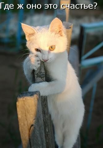 Марина Новорок(Халтурина)