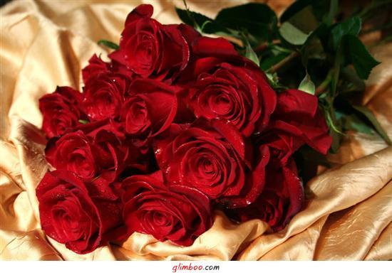 ***добрая*** =/:девушка=/: