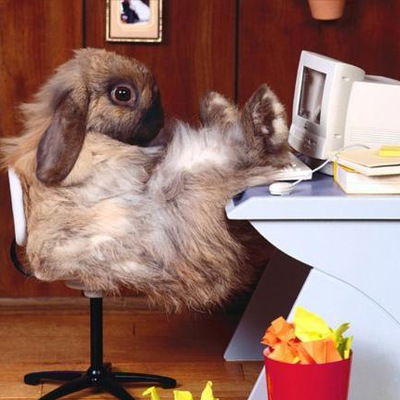 Алекс Петров