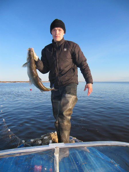 Анатолий Анагуричи