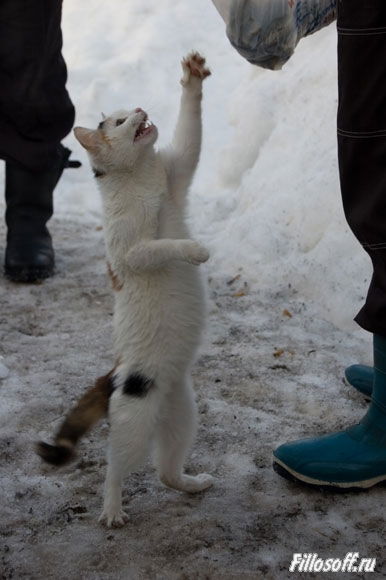 Людмила Бартенева